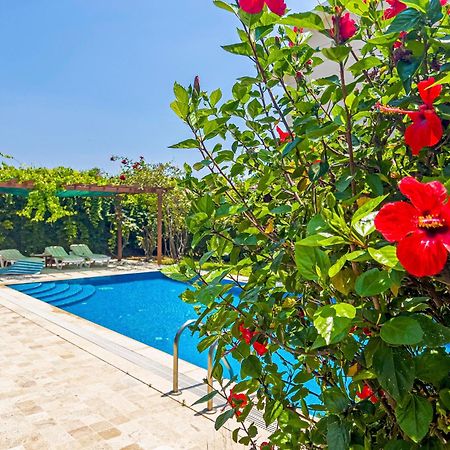 Paradise Town Villa Royal Μπέλεκ Εξωτερικό φωτογραφία