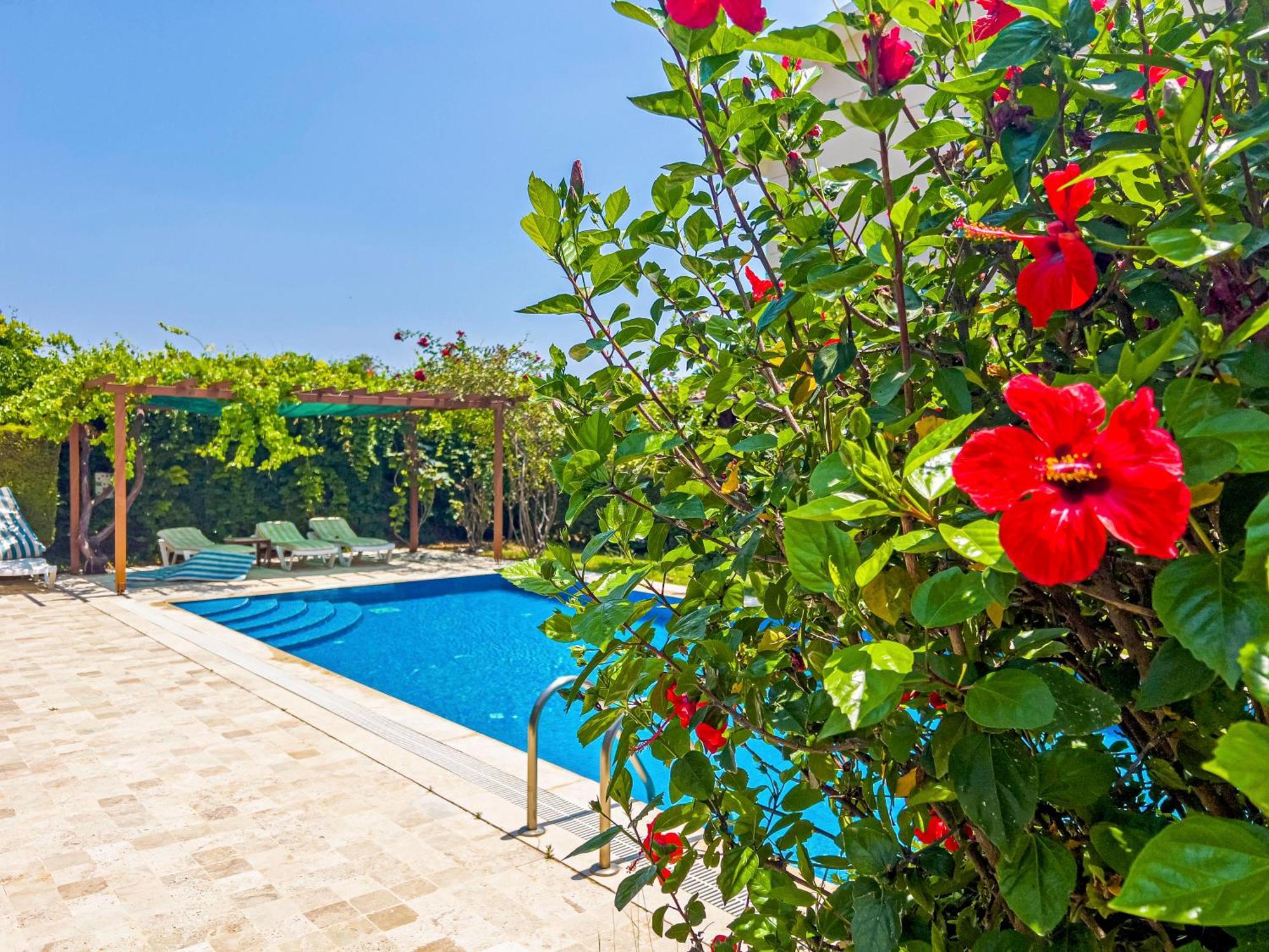 Paradise Town Villa Royal Μπέλεκ Εξωτερικό φωτογραφία